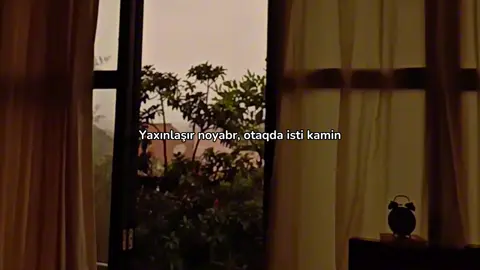 Yaxınlaşır Noyabr #qaraqan #elxanzeynallı #host #fyp #