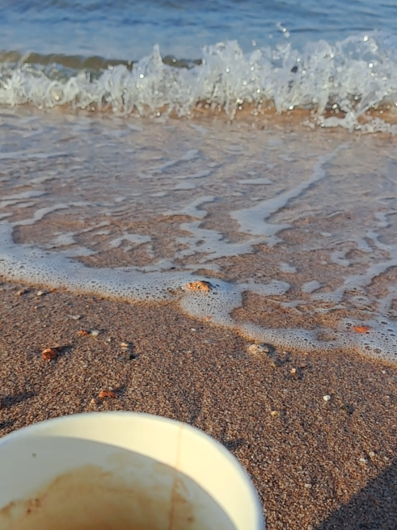 بِطَعْمِ قَهَوَتي أُحِبُّ حَديثَكِ #خوليوس #فيروز #فيروزيات #فيروزيات_الصباح #your_coffee 