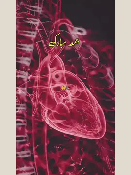 Friday status_Qabar Ka Khuf Na Rakhna Ay Dil 