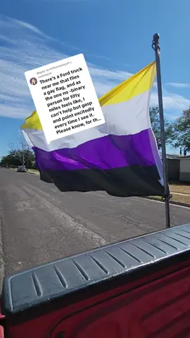 Replying to @hithereallyall #humanrights #usa #freedom #nonbinary 