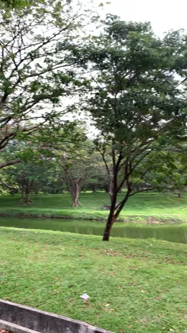 Spot potensial di cikarang nii 🤔 #castingfishing🎣 #nature #spotmancing #cikarang #castinggabus 