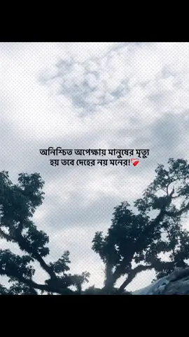 অনিশ্চিত অপেক্ষায় মানুষের মৃত্যু হয় তবে দেহের নয় মনের!❤️‍🩹 #foryou #banglacaption #sadcaption #emotionalvideo #fyp 