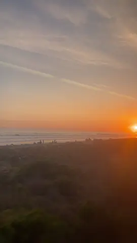 testing captions tags @Blume Skin 