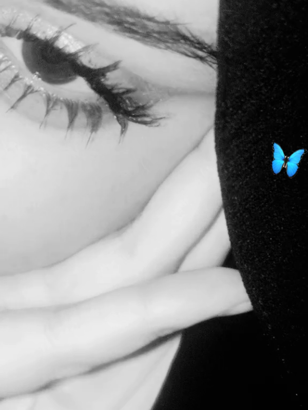🦋🦋🦋. #سوريا🇸🇾 #fyp 