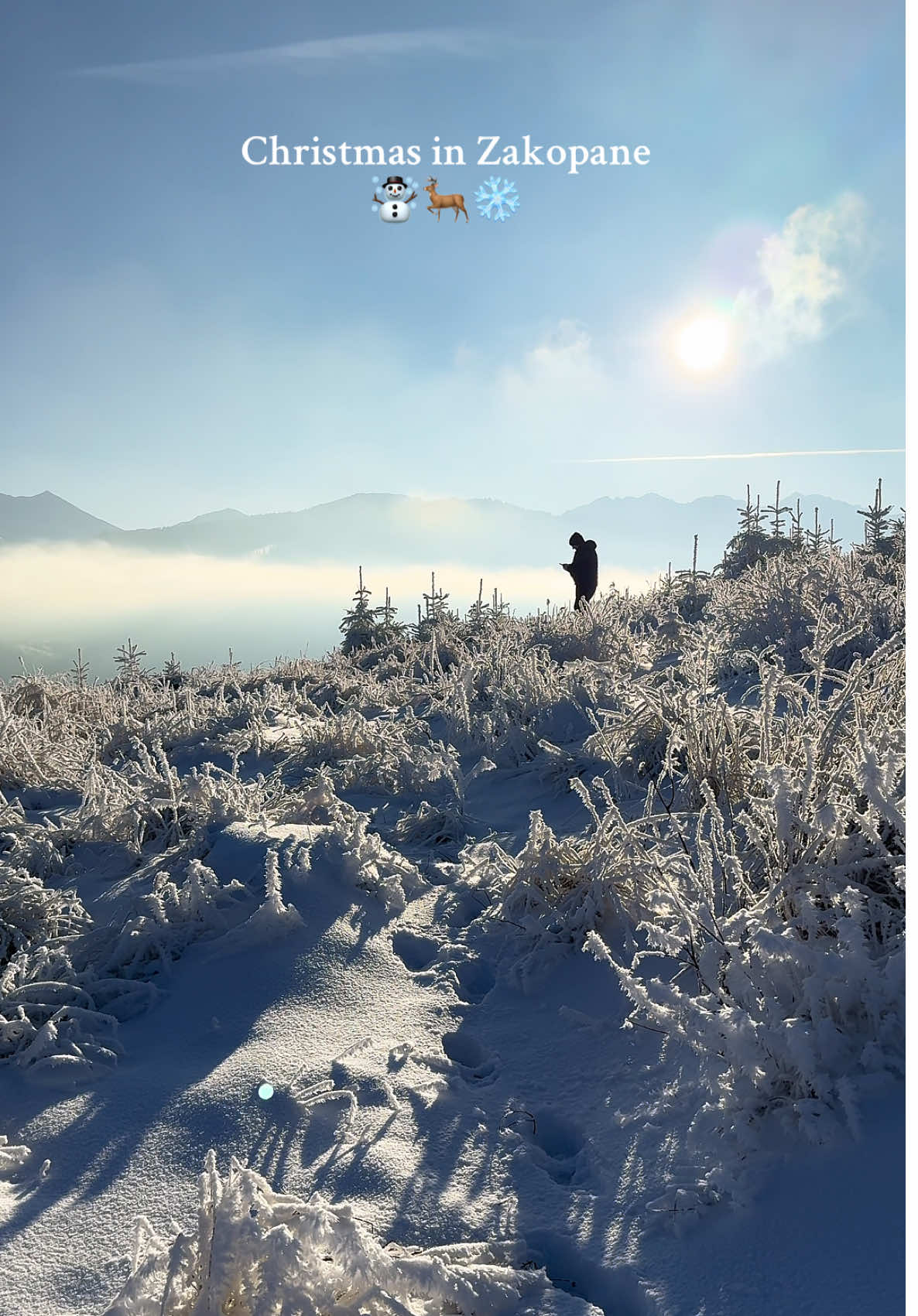 Christmas time in Zakopane🎄☃️🦌❄️ #zakopane #christmas #Poland #fyp