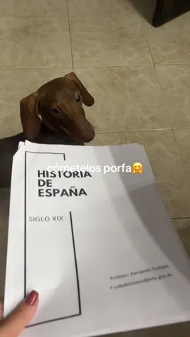 ya se los podría comer joer #bachiller #2bach #nopuedomas #historiadeespaña #mierdaaaaaaa 