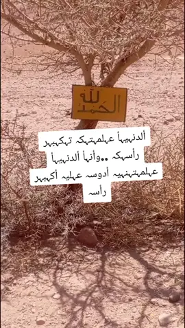#مليش_خلق_احط_هاشتاغات🙂 #الجباليه_ولنا_في_قمت_المجد_رايات 