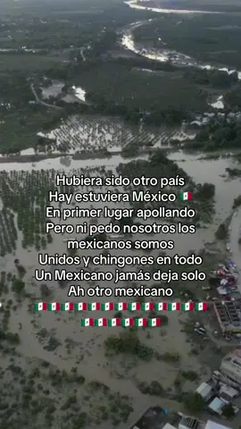 Gracias a todos esos influencers que están aportando su ayuda#mexicana🇲🇽#inundaciones#veracruz#pozarica 