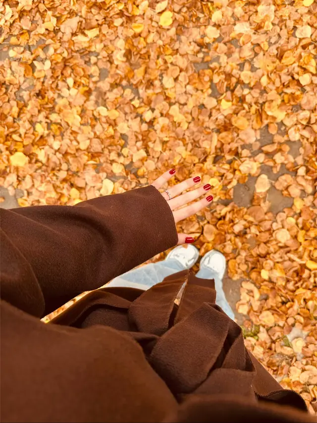 #لايك__explore___ #خريف #foru #october 