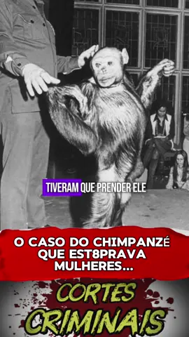 Parte 1 | Caso Chimpanzé Oliver… #crime #casos #truecrime #historiasbizarras #misterio 