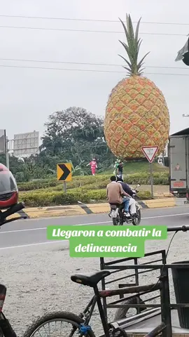 #milagrocity🍍 #humor #fyp #viral 