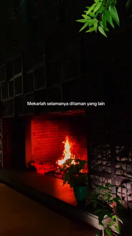 Mekarlah selamanya ditaman yang lain… 