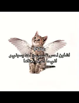 حقيقي . #قطط #احساس #pov #? 
