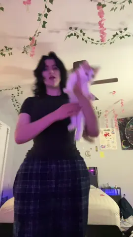 Mango getting sturdy #fyp #foryou #foryoupage #cat #alt  