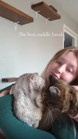 So lucky to have cuddly cats! #rescuecats #EDScatcrew #specialneedscat #catmum #Ehlersdanlossyndrome 