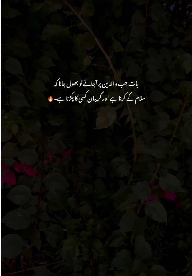 🤌🔥#fyp #grow #poetry #viralvideos #aestheticvideos 