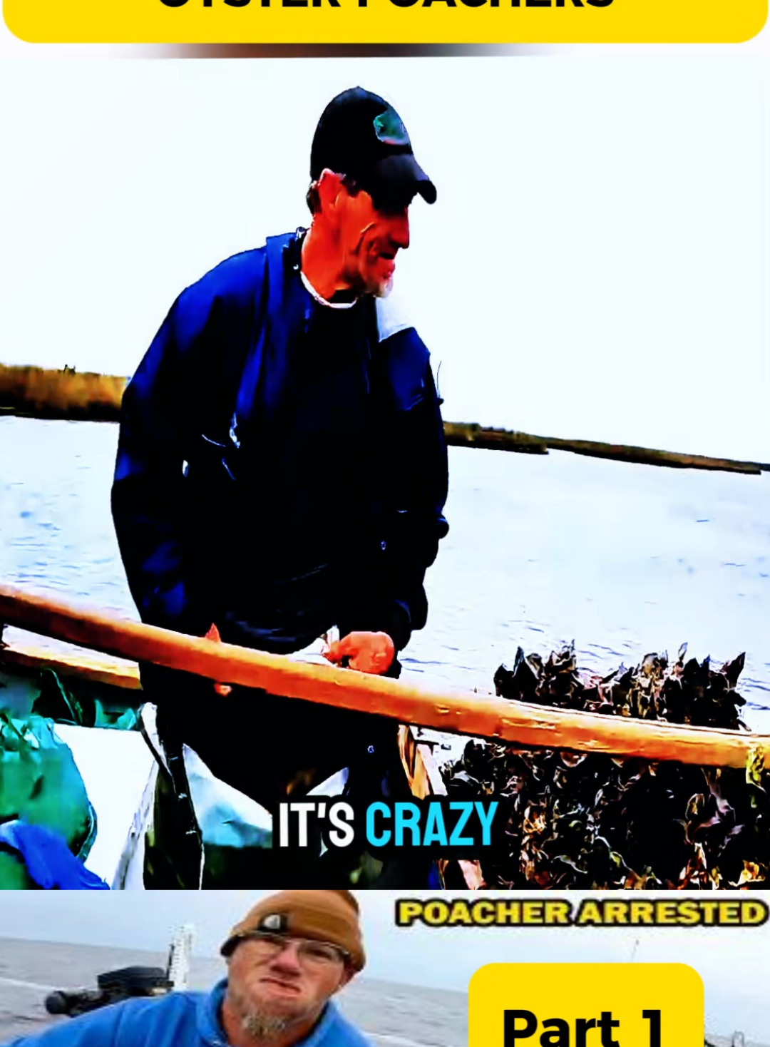 P1#cops #police #bodycam #law #foryou 