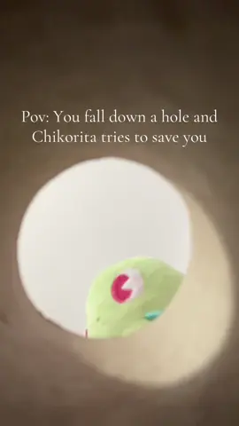 She's doing her best🥺 #chikorita #pkmn #pokemon #pokemonplush #pokemoncommunity 
