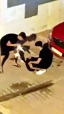 📌 HERKES PAYLAŞSIN❗️ 📌 BU VELETLERİ BULUN  📌 TANIYAN GÖREN İHBAR ETSİN  ‼️ ‼️ 📌 Bunlar acil yakalanmalı ‼️ 📌 Hayvanlara eziyet eden c31k örgütünden olabilirler ‼️ ‼️ ‼️ 📌 Mersin Pirireis Mahallesi'nde akşam saatlerinde elinde sırt çantası bulunan 2 genç kedileri sevme bahanesiyle yaklaşıp çantalarına koyarken yakalandı 📌 Olay fark edilip müdahale edilince uzaklaşmışlar... *******   📌 EVERYONE SHARE ❗️ 📌 FIND THESE BITCHES 📌 IF ANYONE KNOWS THEM, REPORT THEM..‼️ ‼️ 📌 These must be caught urgently !! 📌 They may be from the c31k organization that tortures animals ‼️ ‼️ ‼️ 📌 In the evening hours in Mersin Pirireis Neighborhood, 2 young people with backpacks in their hands were caught approaching cats with the excuse of petting them and putting them in their bags. 📌 They left when the incident was noticed and intervention was made...