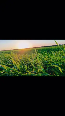 #تصويري_احترافي_الاجواء👌🏻🕊😴 #عصريات_الشتاء #مجرد________ذووووووق🎶🎵💞 #💔💔💔 #زراعة 