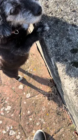 😅😅😅