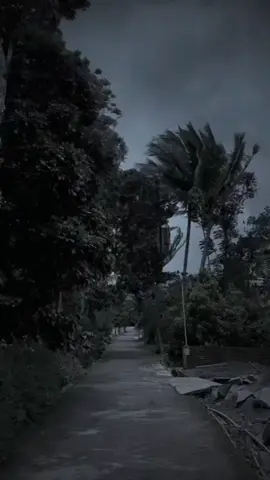 يقول متربي مربى زلم واسأل الماشانا على الطيبه والمرجله الحجي ربنا....... #عباراتكم_الفخمه📿📌تجبرني_انشر  #  #song #kesfetteyiz #tranding #4u   