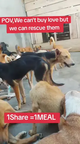 #savelife #virl_video #foryou #fyp 