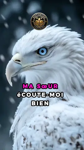 Ton vrai pouvoir, c’est ton cœur, ton respect, ta dignité.#videos #conseil #motivation 