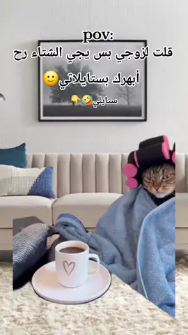 #Meme #MemeCut #CapCut #fypシ゚viral🖤tiktok #😂😂😂 