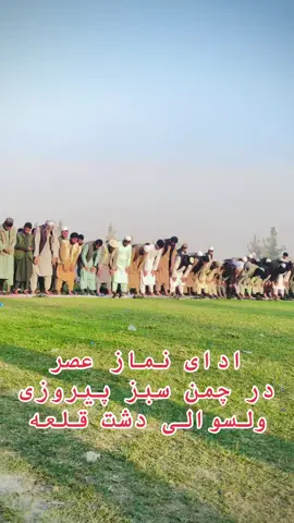 #چمن #سیزپیروزی_دشت_قلعه_میزبان_منتخب_ولسوالی_های_تخار  @Believer  @BO 3ABED | بوعابد  @شركة خالد للمجوهرات 