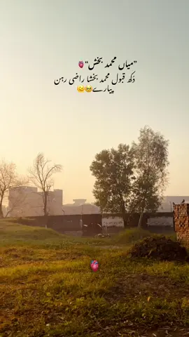 Repost ❤️‍🩹#foryou #foryoupage #unfrezzmyaccount #🥀💔 #viwesproblem @TikTok en español @TiktokPakistanOfficial 