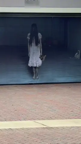 #halloween chegando e as decorações estão bem criativas!  Aqui na vizinhança tem um painel de garagem bastante inusitado e assustador! 🤣🤪 Tomei um susto na primeira vez que reparei! Trilha no post de #antonioarruda  para a @marshmelody.music 