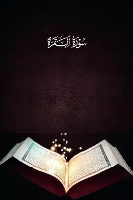 أواخر سورة البقرة/شيخ الزين محمد احمد #القران_الكريم_راحه_نفسية😍🕋 #تلاوة_خاشعة #القران_الكريم #quran #الشعب_الصيني_ماله_حل😂😂 