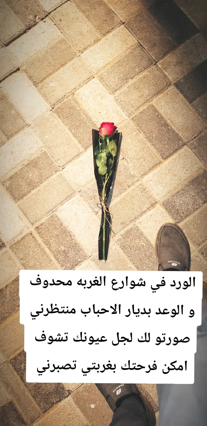 #اكسبلورexplore #اعادة_النشر🔃 #مشاهدات 