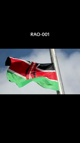#kenyantiktok🇰🇪 #president #Hero #fighter 