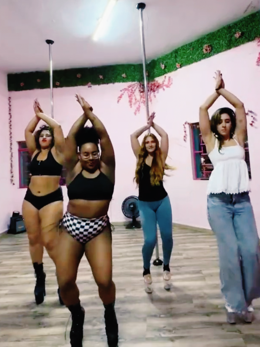 A trend do @Pedro Sampaio  dessa vez por Pole dancers😎