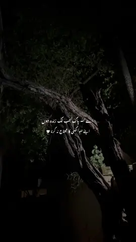 🤍🥺|#foryoupage #viralvideo #islamic_video #islamiccontentecreater #foryoupage 