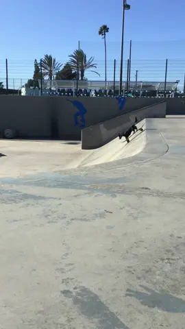 Scooter Kid Sacked The Rail 🐾 #miniaturedachshund #wienerdog #dachshund #skateboardingdog #Skateboarding 