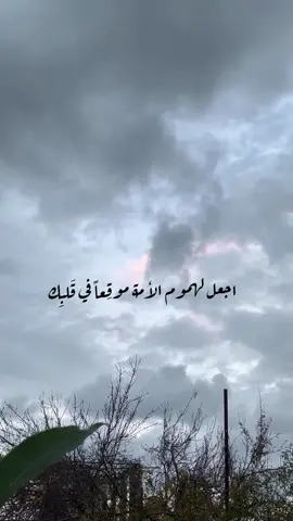 #الـــكـــتـــابـــ📚_والــســنــة🕋 #بـــفـــهـــمـــ_ســلــفــ_الأمــة #لاإله_إلا_الله_محمد_رسول_الله #صلوا_على_رسول_الله #عليه_افضل_الصلاه_والسلام 