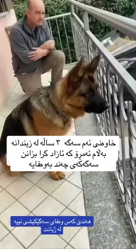 #foryoupage #foryou #fypシ #evreone #actives 