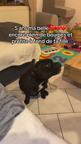 #pourtoii #staffy #happybirthday #Love 