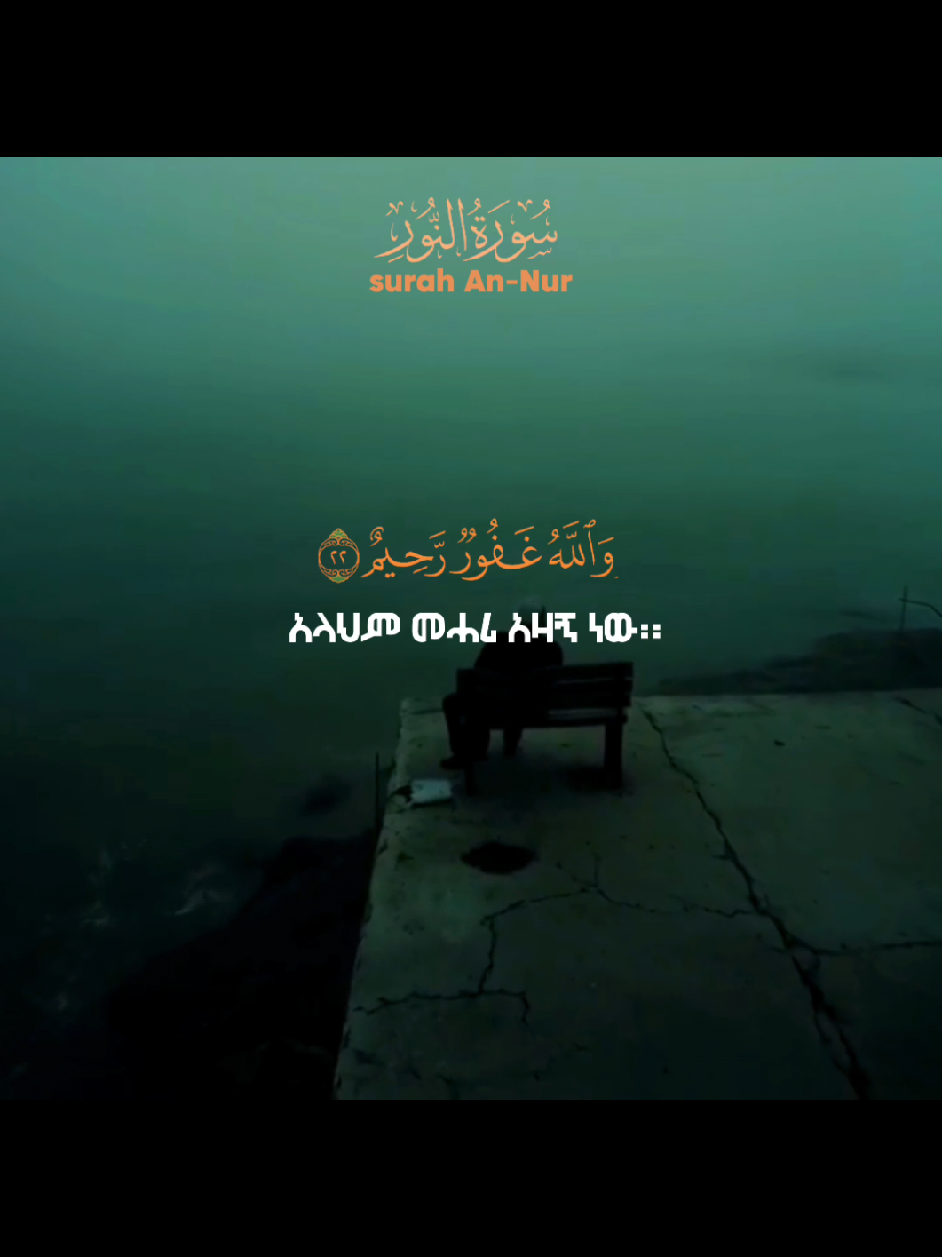 Quran Reaction | Surah An-Nur | Amharic Translation #Quran #fyp #islamic_video #muslim #ኢስላም_ነው_ህይወቴ_አልሀምዱሊላህ🕌🕌🕌🕌🕋 