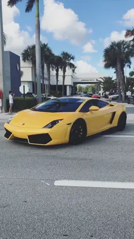 Unleash the Bulls! #LamboPalmBeach 