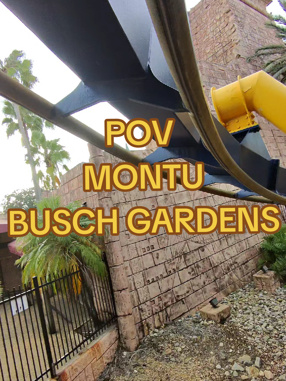 essa é bem louca, o trilho é em cima, as pernas ficam soltas. É a única que quase fez o óculos cair  #park #tampa #buschgardens #rollercoaster #usa🇺🇸 