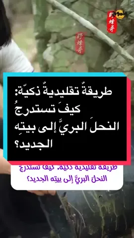 طريقةٌ تقليديةٌ ذكيّة: كيفَ تستدرجُ  النحلَ البريَّ إلى بيتِه الجديد؟#ambition_75 #keto_world_ 