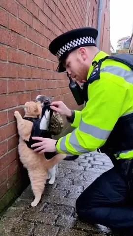2 cats have been arrested today in the streets of London it was well deserved thanks to the community #police #viral #fyp #crime 