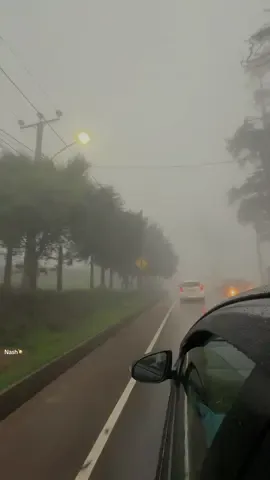 📍Nuwaraeliya Climate 🥶❄️🫧#Mist #nuwaraeliya #carride #dayout #flyppppppppppppppppppppppppppppppp 