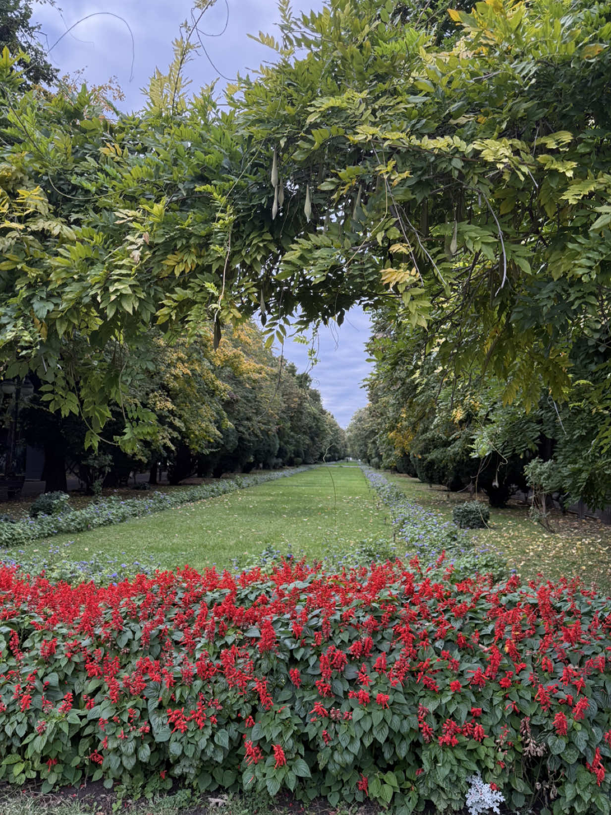 aia care tineti cursurile doar pentru voi, unde vi le bagati? #fy #foryou #fyp #law #viral 