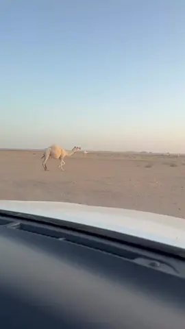 موجعات ل قعدان بن جبير المقاطي ♥️ .