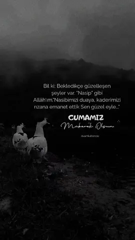 #kesfet #hayirlicumalar 